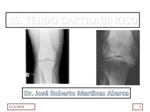 15 TEJIDO CARTILAGINOSO Dr Jos Roberto Martnez Abarca