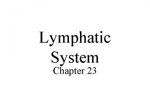 Types of lymphatic system