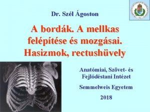 Dr Szl goston A bordk A mellkas felptse