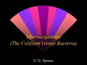 Microorganisms The Coliform Group Bacteria S D Spence