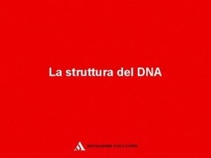 La struttura del DNA La struttura del DNA