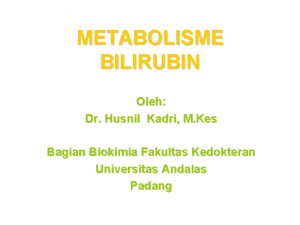 Metabolisme bilirubin