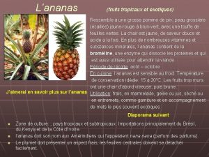 Lananas fruits tropicaux et exotiques Ressemble une grosse