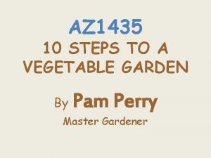 Container vegetable gardening in arizona