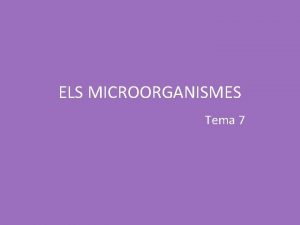 ELS MICROORGANISMES Tema 7 1 1 Els Protoctits