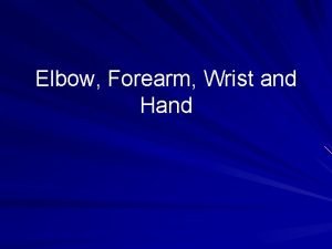 Elbow Forearm Wrist and Hand Elbow Bones Humerus