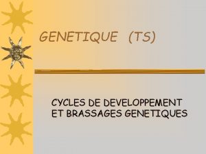 GENETIQUE TS CYCLES DE DEVELOPPEMENT ET BRASSAGES GENETIQUES