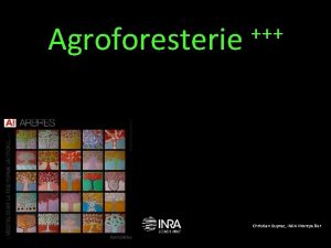 Christian dupraz agroforesterie