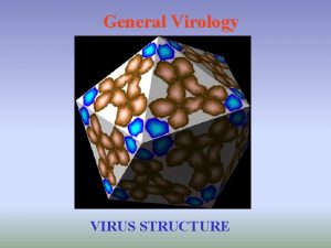 General Virology VIRUS STRUCTURE Virion vs virus Virion