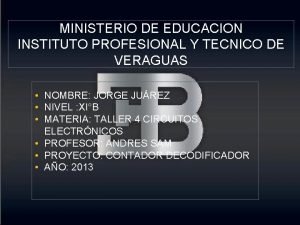 MINISTERIO DE EDUCACION INSTITUTO PROFESIONAL Y TECNICO DE