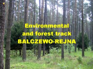 Environmental and forest track BALCZEWOREJNA cieka przyrodniczolena BALCZEWOREJNA