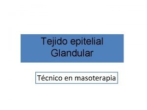 Tejido epitelial Glandular Tcnico en masoterapia Algunos epitelios
