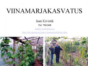 VIINAMARJAKASVATUS Jaan Kivistik Tel 7961608 jaankivistikhot ee http