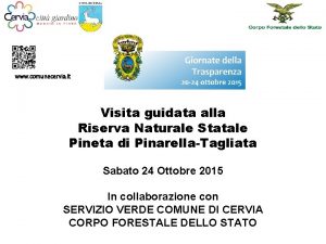 www comunecervia it Visita guidata alla Riserva Naturale