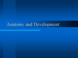 Anatomy and Development Male Anatomy STRUCTURE PURPOSE Scrotum