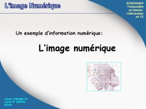 ENSEIGNER Transmettre et Stocker lInformation en TS Un