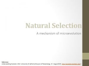 Natural Selection A mechanism of microevolution Reference Understanding