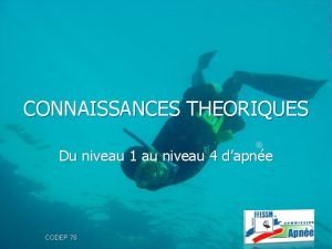 CONNAISSANCES THEORIQUES Du niveau 1 au niveau 4