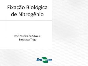 Fixao Biolgica de Nitrognio Jos Pereira da Silva