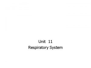 Unit 11 Respiratory System Respiratory System Objectives Define