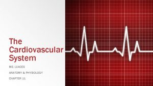 The Cardiovascular System MS LUACES ANATOMY PHYSIOLOGY CHAPTER