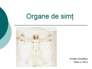 Organe de sim Prodan Ionathan Clasa a VIIa