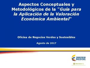 Aspectos Conceptuales y Metodolgicos de la Gua para