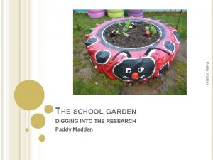 Paddy madden school garden Paddy madden school garden