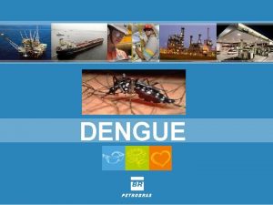 DENGUE A dengue um dos principais problemas de