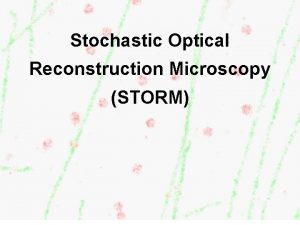 Stochastic Optical Reconstruction Microscopy STORM Finding Out the