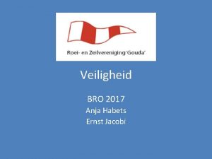 Veiligheid BRO 2017 Anja Habets Ernst Jacobi Veiligheid