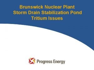 Brunswick Nuclear Plant Storm Drain Stabilization Pond Tritium