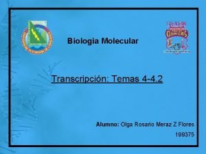 Biologa Molecular Transcripcin Temas 4 4 2 Alumno