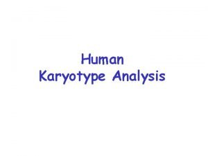 Karyotype of klinefelter syndrome