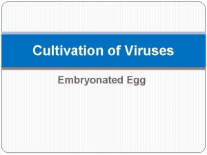 Egg inoculation diagram