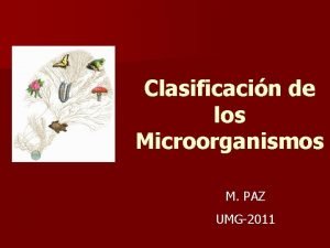 Clasificacin de los Microorganismos M PAZ UMG2011 Siglo