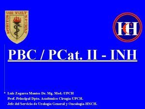 HCH PBC PCat II INH Luis Zegarra Montes