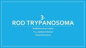 3 ROD TRYPANOSOMA Medicinska kola u Rijeci IV5