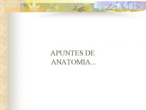 APUNTES DE ANATOMIA Que los PIES te lleven