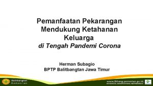 Pemanfaatan Pekarangan Mendukung Ketahanan Keluarga di Tengah Pandemi