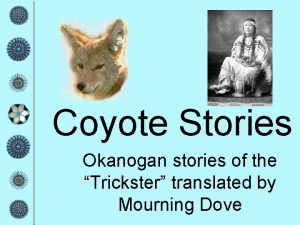 Coyote stories mourning dove Coyote stories mourning dove