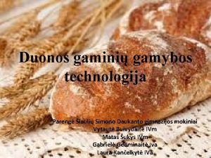 Duonos gamini gamybos technologija Pareng iauli Simono Daukanto