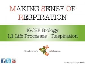 MAKING SENSE OF RESPIRATION IGCSE Biology 1 1