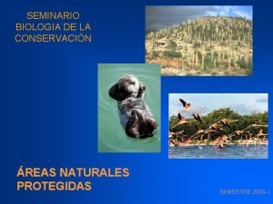 SEMINARIO BIOLOGIA DE LA CONSERVACIN REAS NATURALES PROTEGIDAS