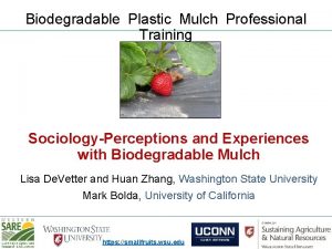 Biodegradable Plastic Mulch Professional Training SociologyPerceptions and Experiences