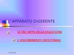 L APPARATO DIGERENTE LE TRE TAPPE DELLA DIGESTIONE