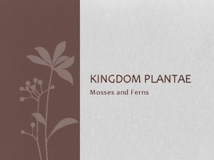 Characteristics of kingdom plantae