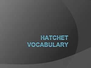 Hatchet vocabulary