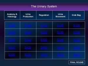 The Urinary System Anatomy Histology Urine Production Regulation