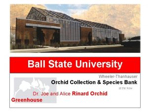 Rinard orchid greenhouse Rinard orchid greenhouse